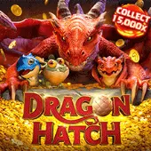 dragon hatch